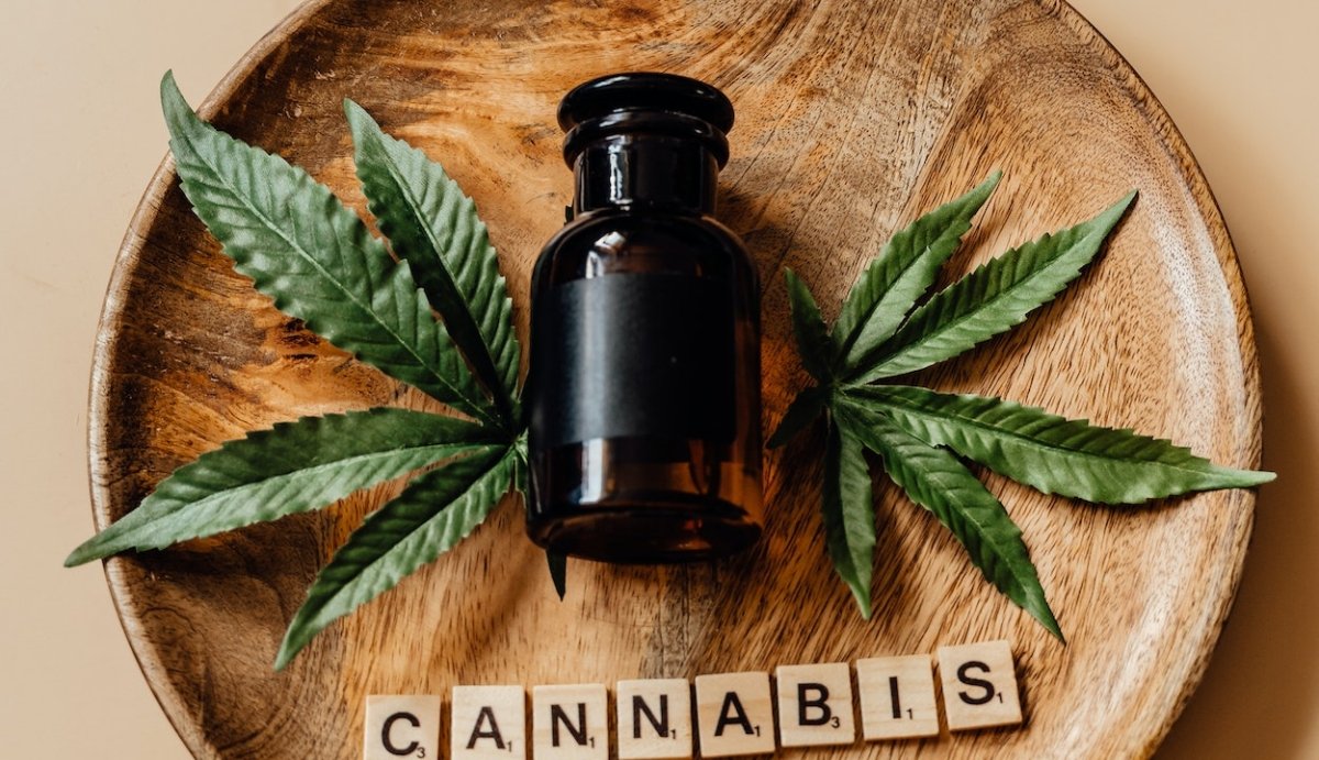 THC Tinctures: What Every Beginner Should Know - Vida Optima™