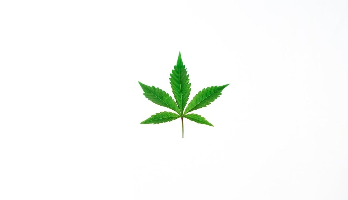 U.S. Cannabis Market Size, Share & Growth Report - VO Inc