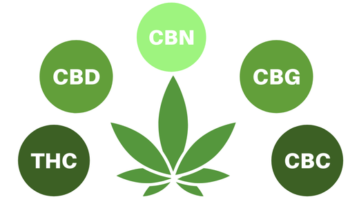 What are Cannabinoids? - VO Inc