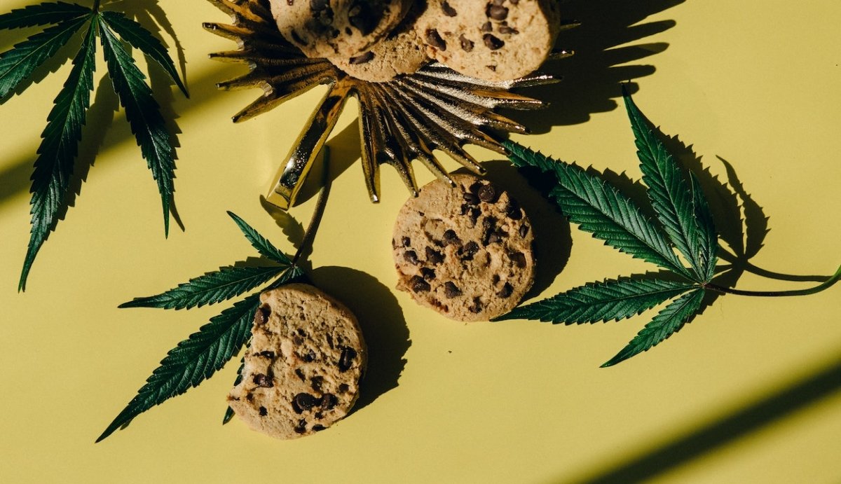 What are Hemp-Derived Delta-9 Edibles? - VO Inc