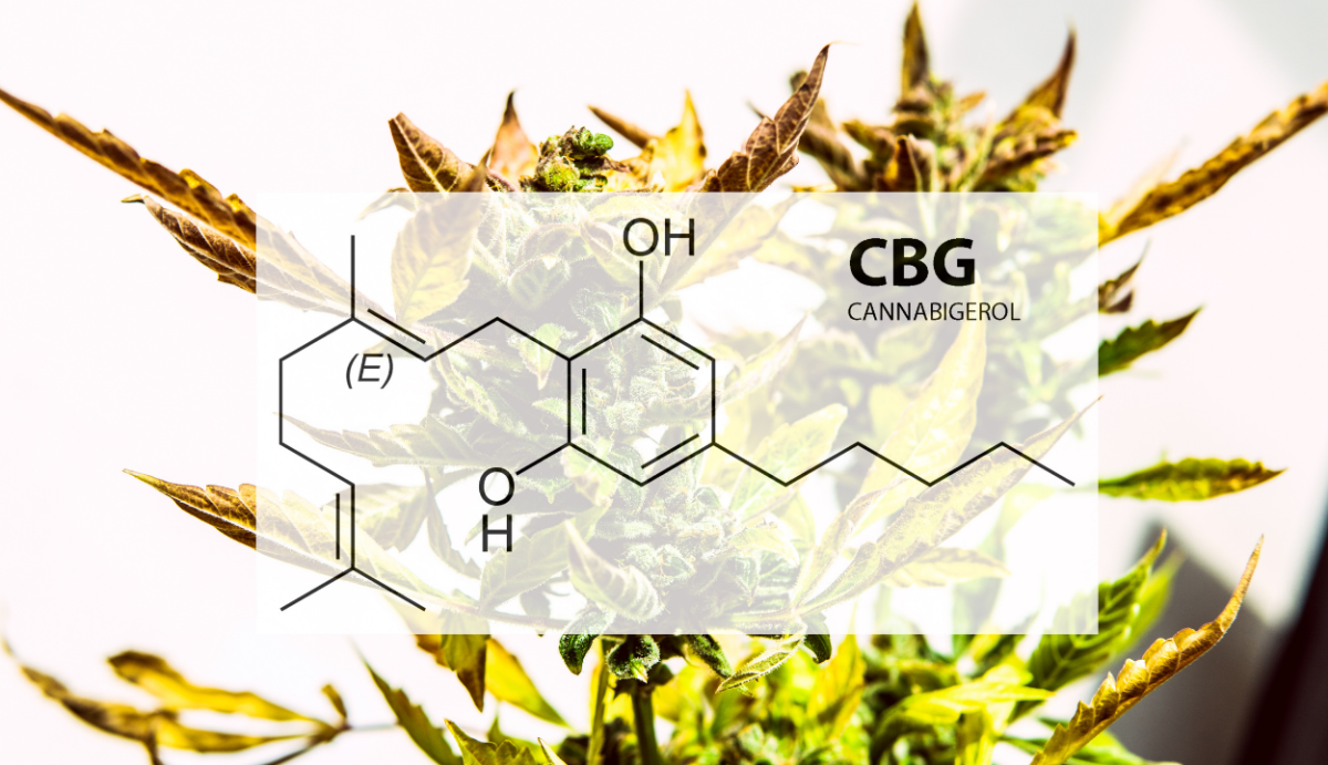 What are the Benefits of CBG? - VO Inc