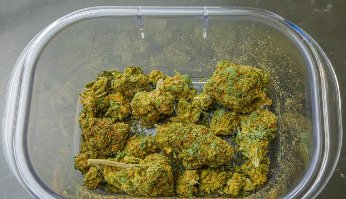 What Does Hybrid Weed Do? (Unique Advantages, Types, and Effects) - VO Inc