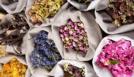 What Herbs Can You Smoke? - VO Inc