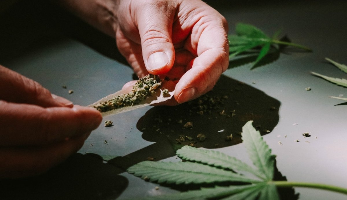 What is Delta-10-THC Flower? Effects, Strains, + How to Buy - VO Inc