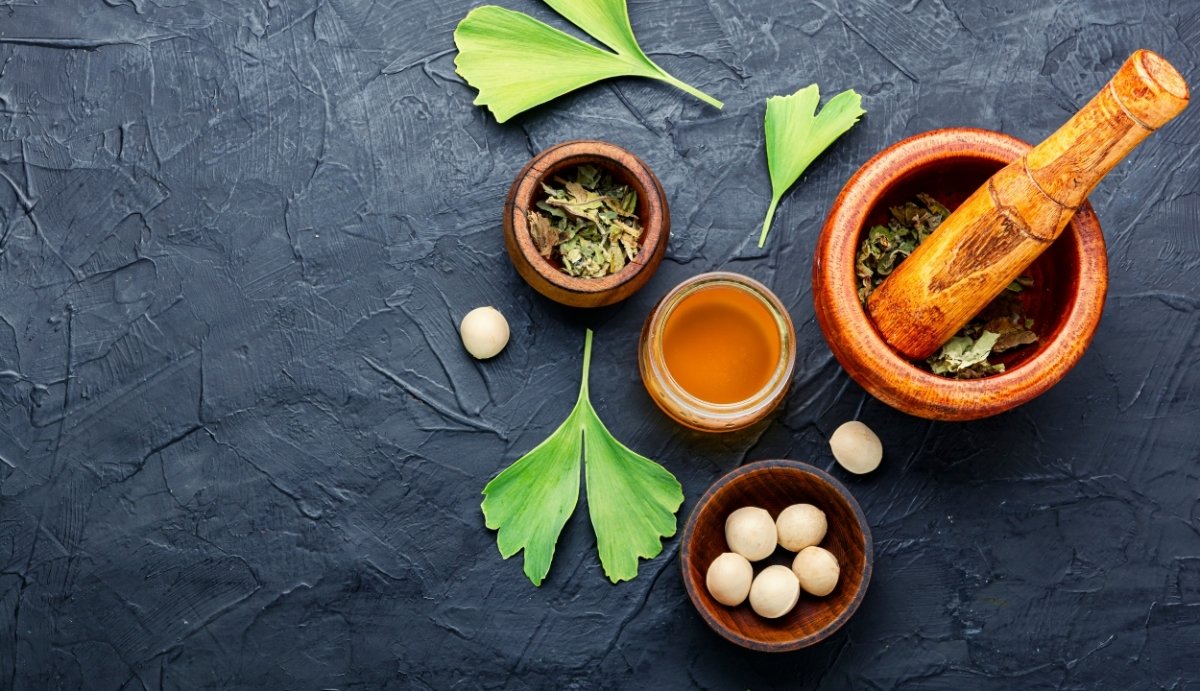 What is Ginkgo Biloba? - VO Inc