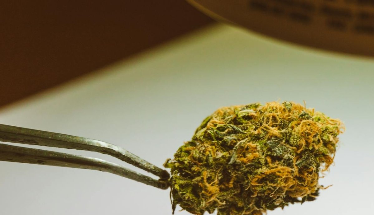 What is THC-POV? (What to Expect, Legalities & More) - VO Inc
