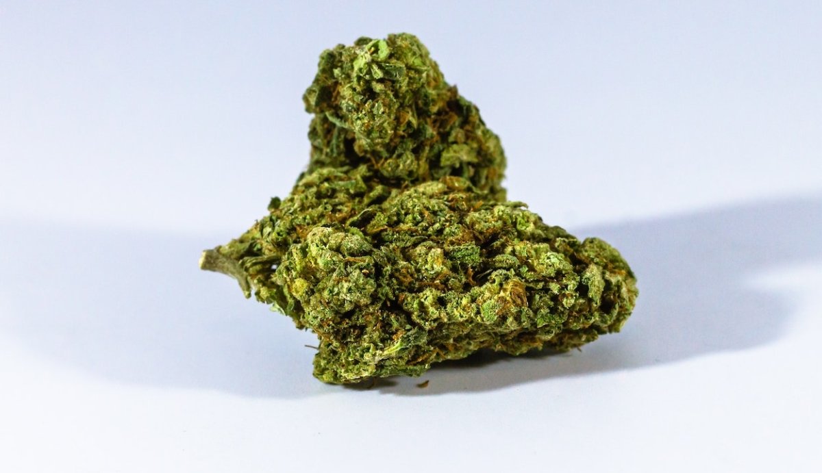 What Percent THC is in Delta 10? - VO Inc