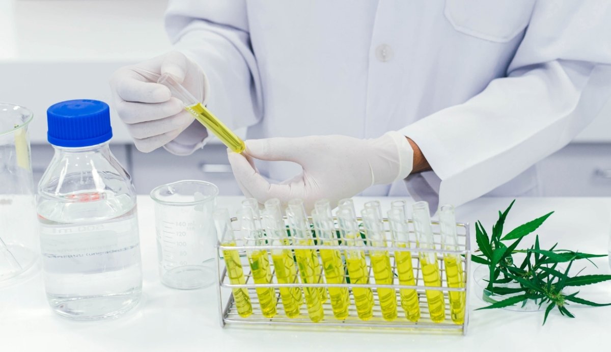 When Was THC-O Discovered? - VO Inc