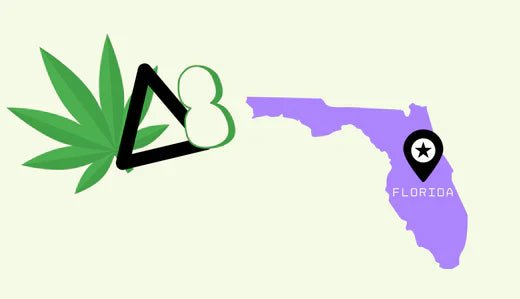 Where to Buy Delta 8 in Florida - VO Inc