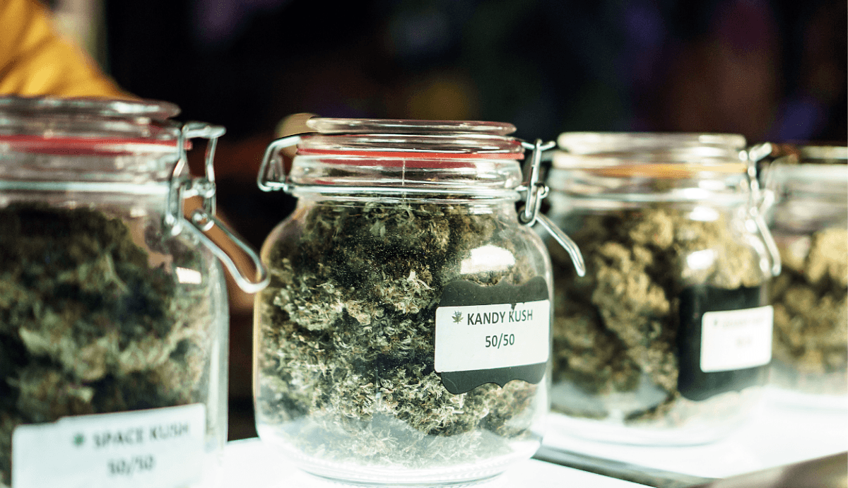 Which Strain of Delta-8 is Best? Sativa vs. Indica vs. Hybrid Delta 8 - VO Inc