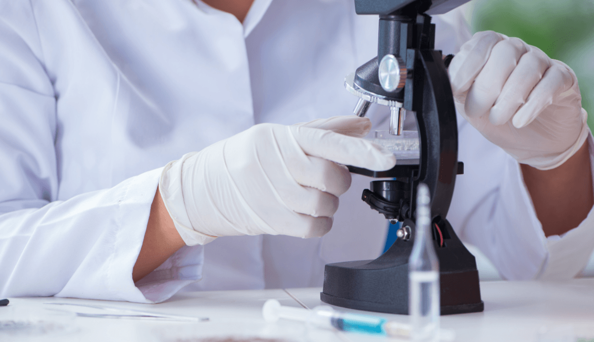 Who Discovered Delta-8-THC? - VO Inc