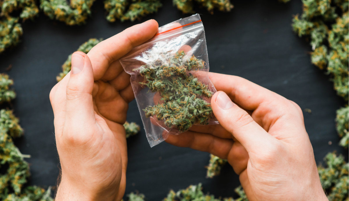 why-is-delta-8-thc-legal-948941_2000x.png?v=1672779544