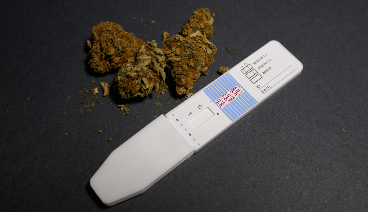 How to Get THC-O Out of Your System (THC-O Drug Test Tips) - VO Inc