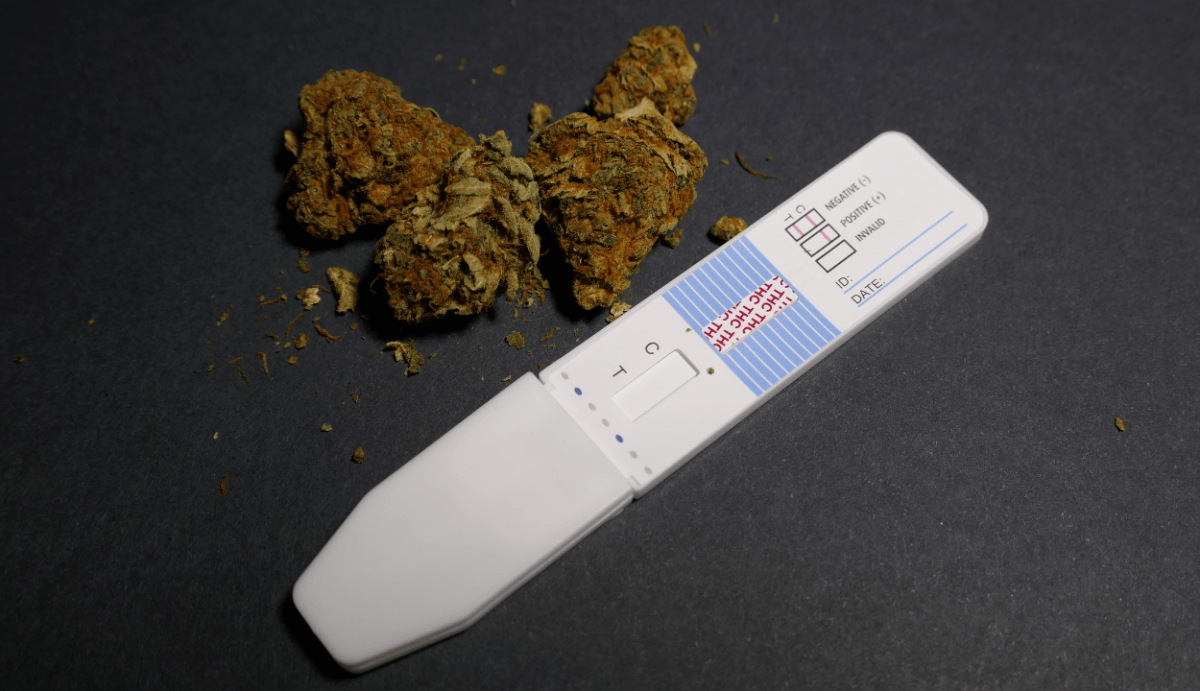 Will THC-O Show Up On a Drug Test? Probably (Here's Why) - Vida Optima™