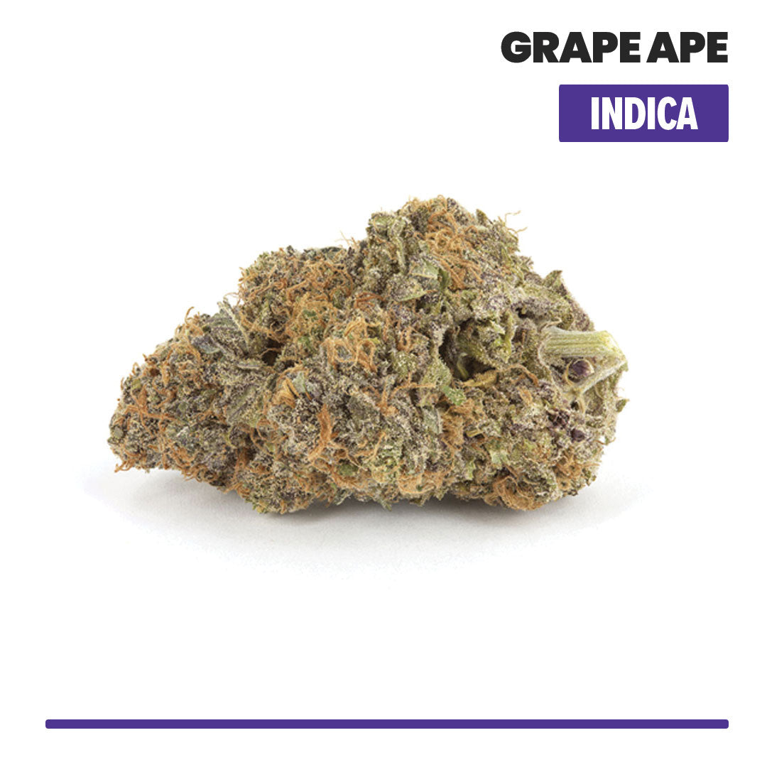 Grape Ape Indoor THCA Flower (Indica)