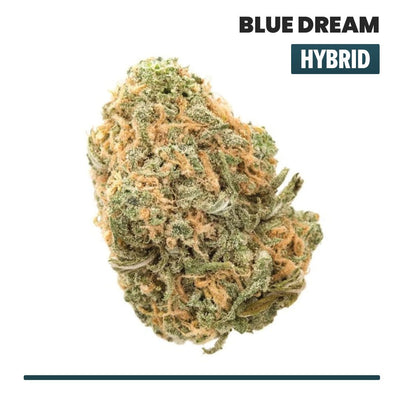 Blue Dream Indoor THCA Flower (Hybrid) - VO Inc - Flower