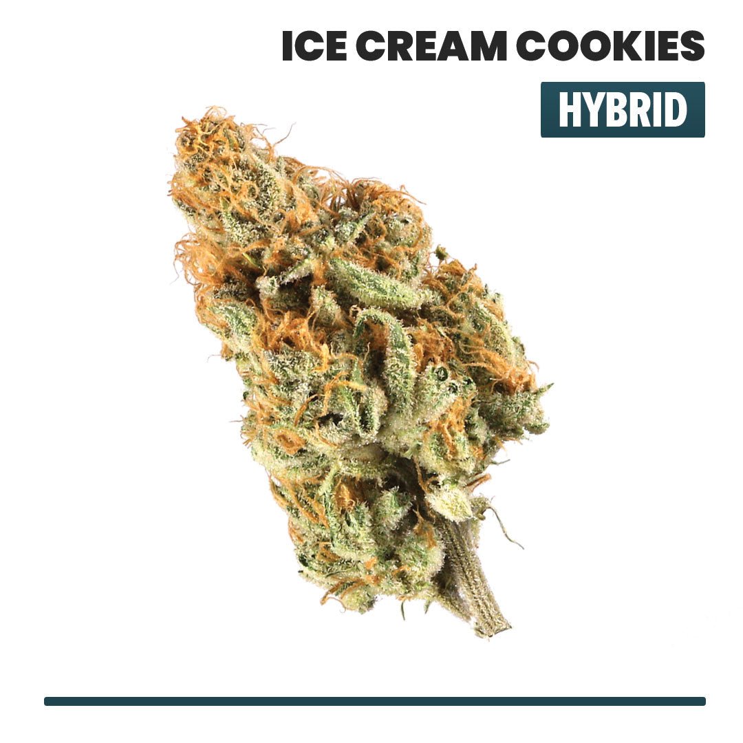 VO Inc Ice Cream Cookies Indoor THCA Flower (Hybrid) Flower