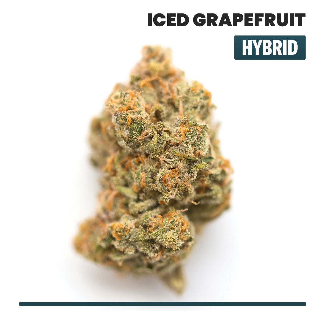 Iced Grapefruit Indoor THCA Flower (Hybrid) - VO Inc - Flower