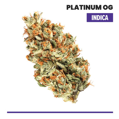 VO Inc Platinum OG Indoor THCA Flower (Indica) Flower