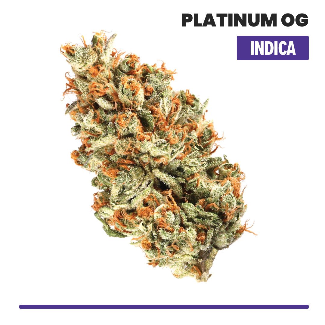 Skywalker OG Indoor THCA Flower (Indica) - VO Inc - Flower