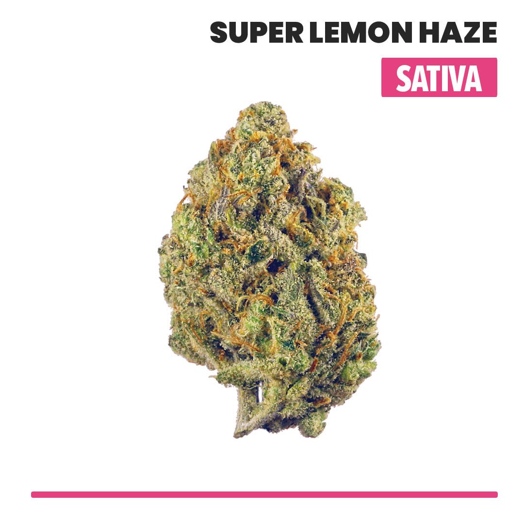 Super Lemon Haze Indoor THCA Flower (Sativa) - VO Inc - Flower