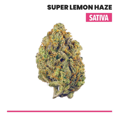 Super Lemon Haze Indoor THCA Flower (Sativa) - VO Inc - Flower