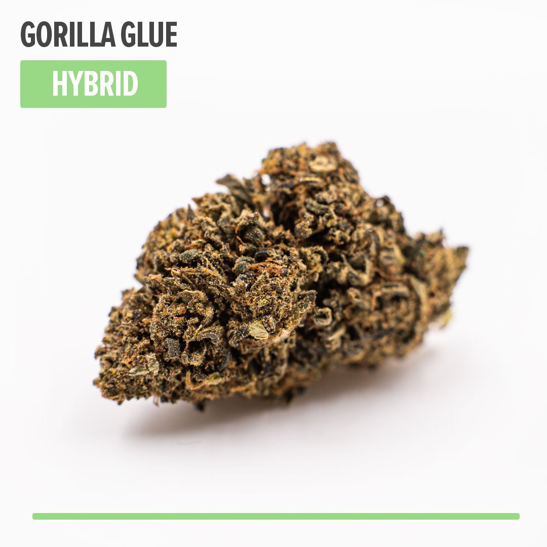 Gorilla Glue CBD Flower (Hybrid)