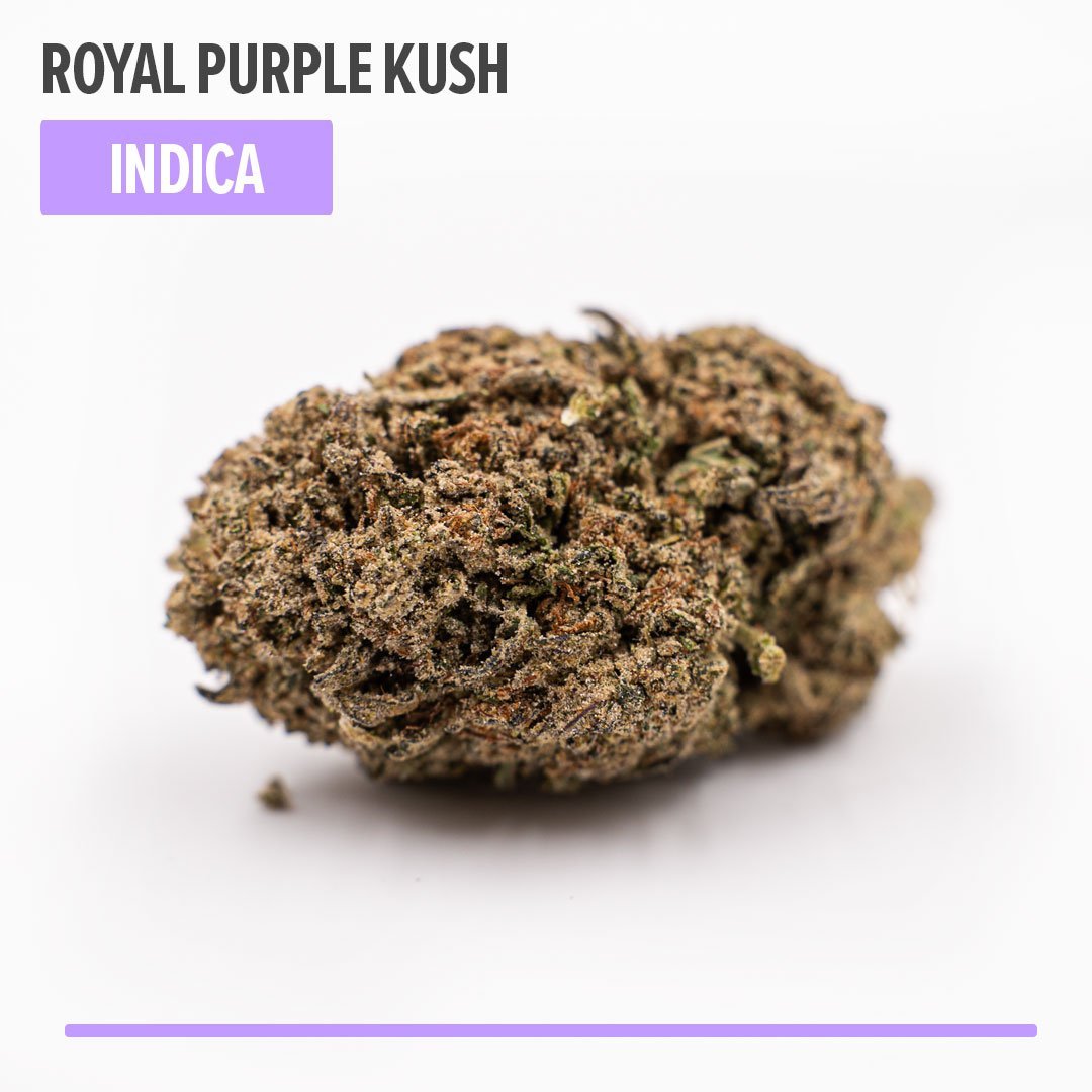 Vida Optima™ Royal Purple Kush Delta 8 THC Flower, Indica Flower